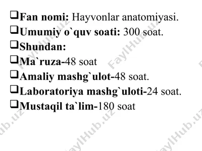 xayvonlar anatomiyasi — PPTX
