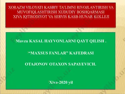 kasal hayvonlarni qayt qilish — PPT