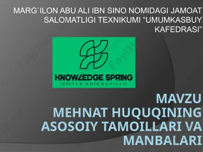 mehnat huquqining asosoiy tamoillari va manbalari — PPTX