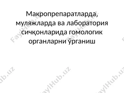 онтогенези ўрганларни ўрганиш — PPTX