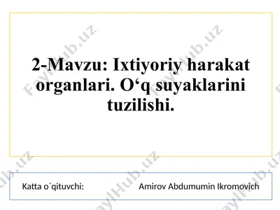 ixtiyoriy harakat organlari tuzilishi — PPTX