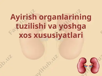 ayirish organlarining tuzilishi va yoshga xos xususiyatlari — PPTX