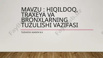 hiqildoq — PPTX