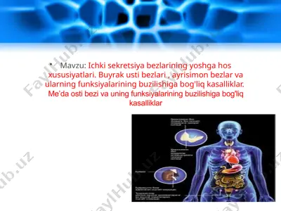 ichki sekretsiya bezlarining yoshga hususiyatlar — PPTX