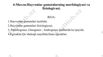hayvonlarga metallarning morfologiyasi va fiziologiyasi — PPTX