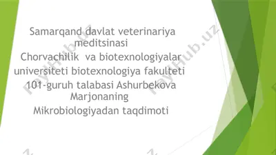 aktinomitsitlar — PPTX