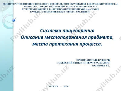 sistema pishchevareniya — PPTX