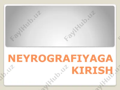 neyrografika — PPTX