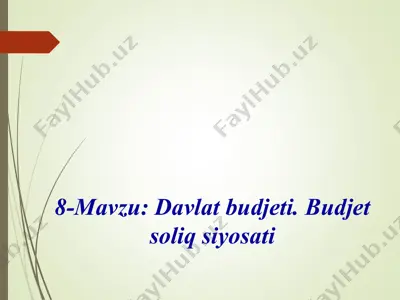 davlat budjeti — PPTX