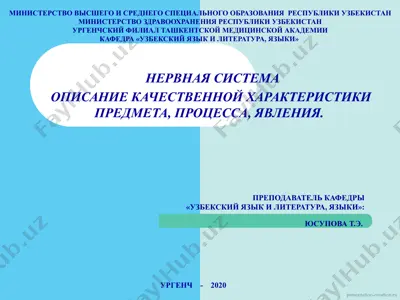 нервная система — PPTX