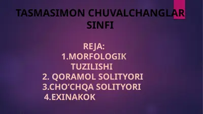 tasmasimon chuvalchanglar sinfi — PPTX