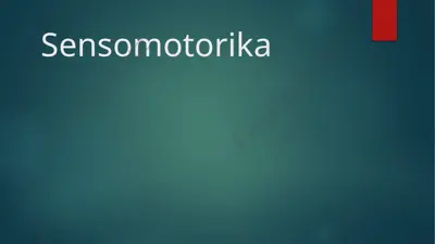 sensomotorika — PPTX