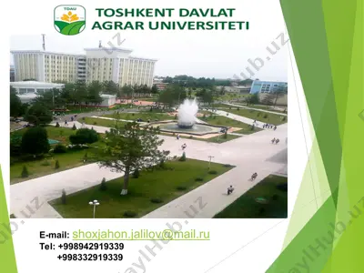 ommaviy tadbirlar va ularning tashkil etish — PPT