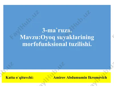 oyoq suyaklarining morfo-funksional tuzilishi — PPTX