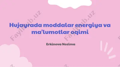 hujayrada moddalar energiya va ma'lumotlar oqimi — PPTX