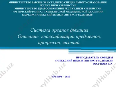 система органов дыхания — PPTX