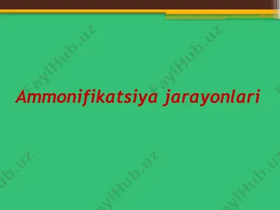 ammonifikatsiya jarayonlari — PPTX