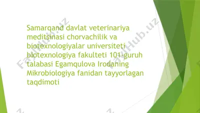 zamburug’larning sanoat va qishloq xo’jaligida ahamiyati — PPTX