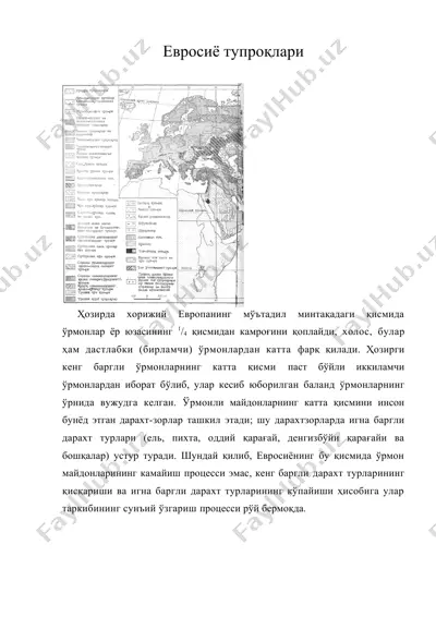 евросиё тупроқлари — DOC