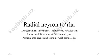 radial neyron to‘rlar — PPTX