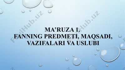 milliy iqtisodiyotning mustaqil tarmoqi — PPTX