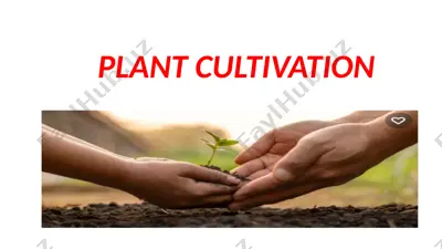 plant cultivation — PPTX