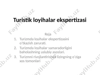 turistik loyihalar ekspertizasi — PPTX