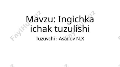 ingichkaichak (intestinum tenue) — PPTX