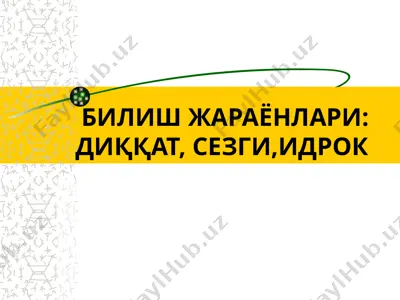 i̇drok — PPT