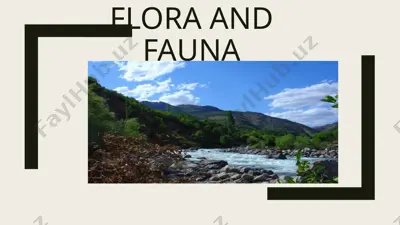 floristika va faunistika — PPTX