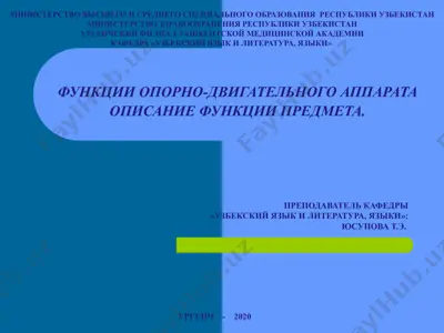 функции опорно-двигательного аппарата — PPTX
