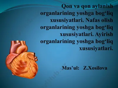 qon vaqon aylanish organlarining yoshga bog‘liqxususiyatlari — PPTX