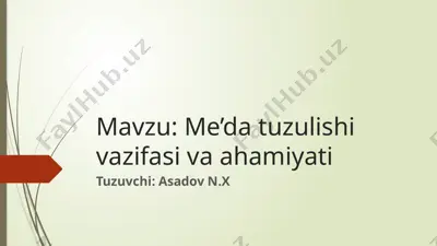 me’da (mavzu: me’da tuzulishi vazifasi va ahamiyati) — PPTX