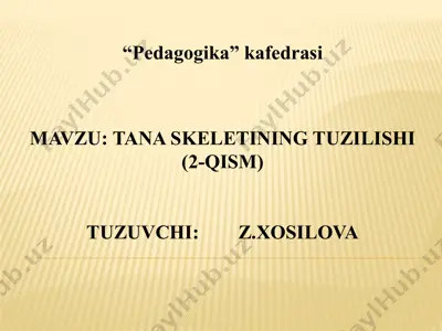 tanaskeletining tuzilishi — PPTX