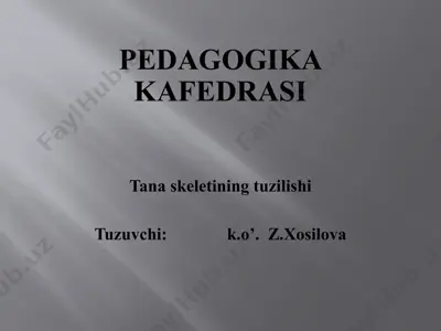 tanaskeletining tuzilishi — PPTX