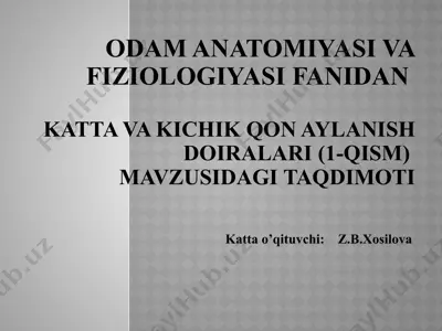 odamanatomiyasi va fiziologiyasi fanidan katta va kichik qonaylanish doiralari (1-qism) — PPTX