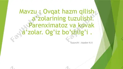 ovqat hazm qilish a’zolarining tuzulishi — PPTX
