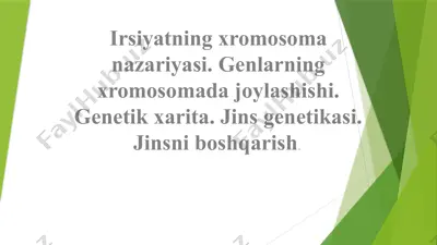 irsiyatning xromosoma nazariyasi — PPTX