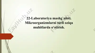 mikroorganizmlarni turli oziqa muhitlarda o‘stirish laboratoriyamashg‘uloti — PPTX