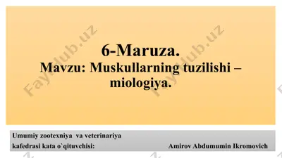 muskullarning tuzilishi – miologiya — PPTX