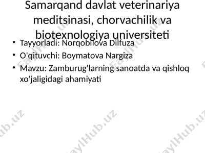 samarqand davlat veterinariya meditsinasi, chorvachilik va biotexnologiya universiteti — PPTX