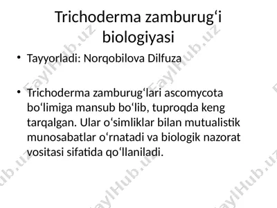 trichoderma zamburugʻi biologiyasi — PPTX