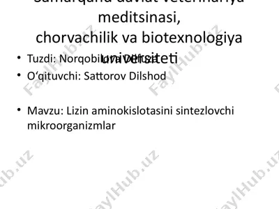 lizin aminokislotasini sintezlovchi mikroorganizmlar — PPTX