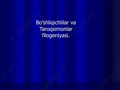 bo'shliqichlar va taroqsimonlar filogeniyasi — PDF