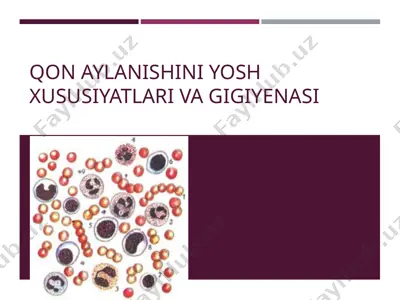 qon aylanishini yosh xususiyatlariva gigiyanasi — PPT