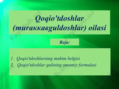 qoqio'tdoshlar (muraккaвguldoshlar) oilasi — PPTX