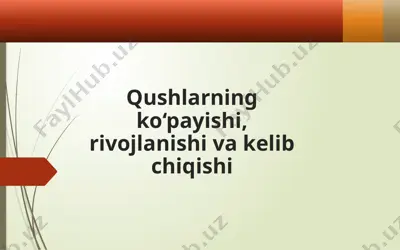 qushlar ko‘payishi — PPTX