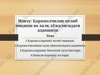 қорамолчилик келиб чиқиши ва халқ хўжалигидаги аҳамияти — PPT