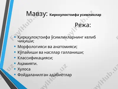 қирққулоқтоифа усимликлар — PPT