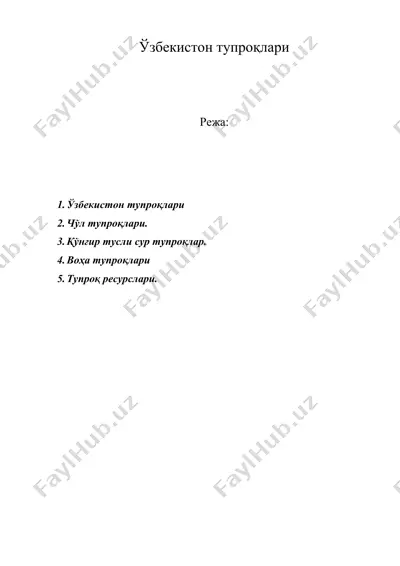 ўзбекистон тупроқлари — DOCX